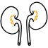 Néphrologie
