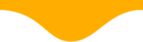 elsan