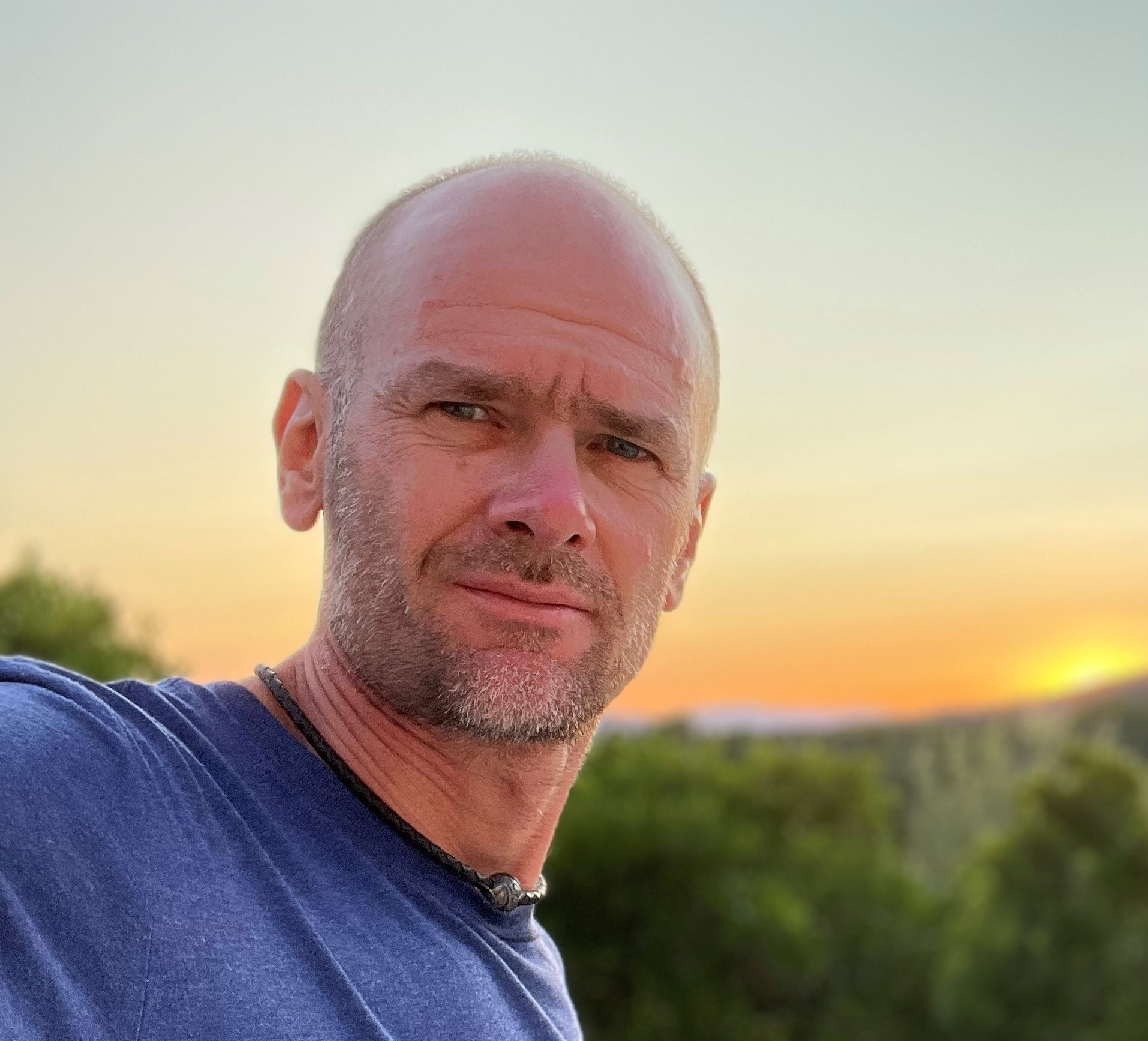 VAN DRIESSCHE STEPHANE