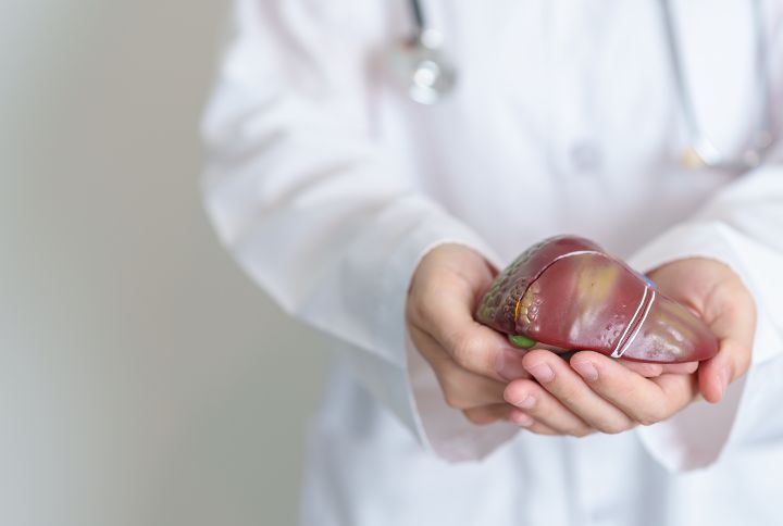 Encéphalopathie : image d'un médecin tenant une maquette de cerveau dans ses mains