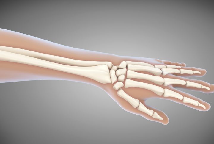 Main, os, doigt : anatomie. Vue de synthèse d'une main et de ses différents os.