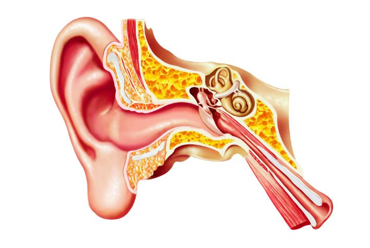 Perforation tympanique : caractéristiques, causes et traitements | Elsan
