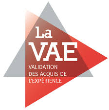 VAE IBODE LOGO