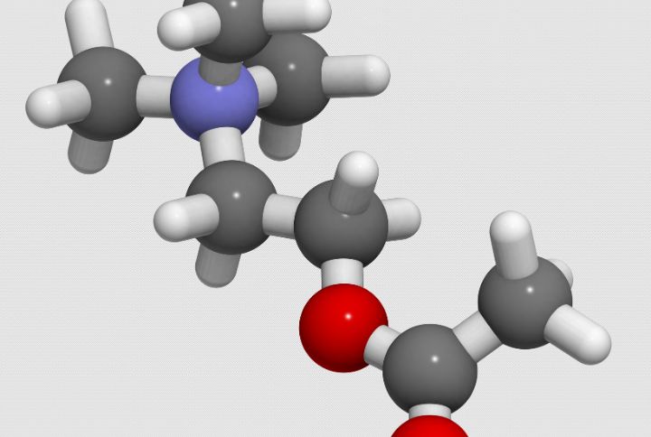 Myasthénie : modèle moléculaire de l'acétylcholine.
