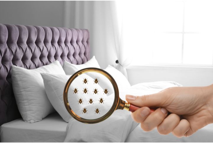 Piqûre de punaises de lit : image d'une loupe imaginant une invasion de punaises dans un lit.