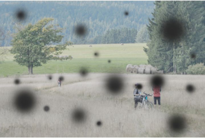 Scotome, trouble de la vision. Ici points noirs dans le champ de vision en lien avec un diabète.